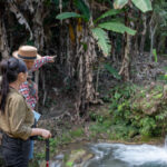 Exploring Brazil’s Wildlife: National Parks and Ecotourism Opportunities