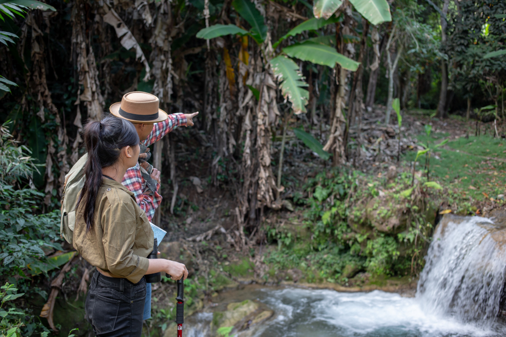 Exploring Brazil’s Wildlife: National Parks and Ecotourism Opportunities